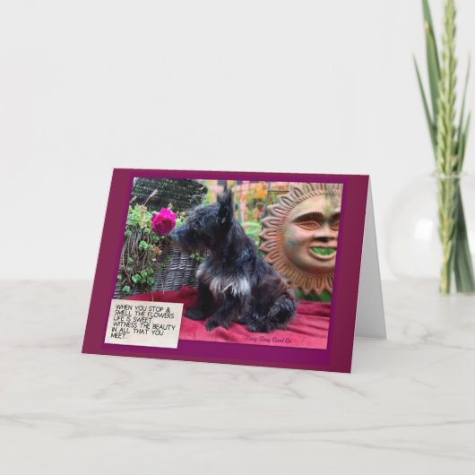 フストップラワーカード カード (正面)