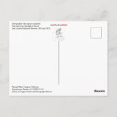 フックから吊り下げられたカメラを持つ写真家 ポストカード (裏面)