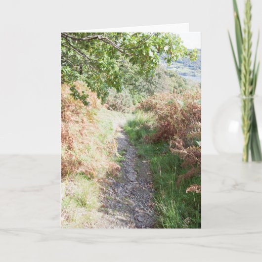 フットパスコニストンイングランド カード (正面)