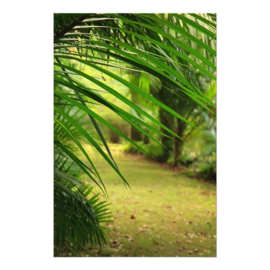 フットパス フォトプリント            (正面)