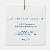 フットヒルペンステモン セラミックオーナメント (裏面)