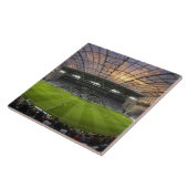 フットボール、フォーサイス·バー·スタジアム、デュネディン タイル (側面)