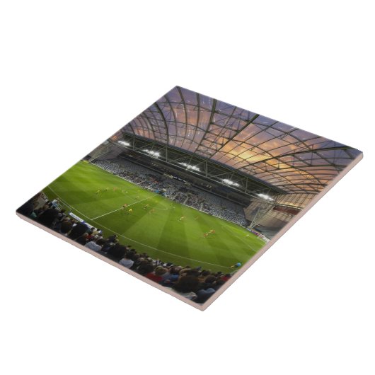 フットボール、フォーサイス·バー·スタジアム、デュネディン タイル (側面)