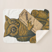 フッドのサルサパリラ回復性強壮剤。 シェルパブランケット (正面(横))