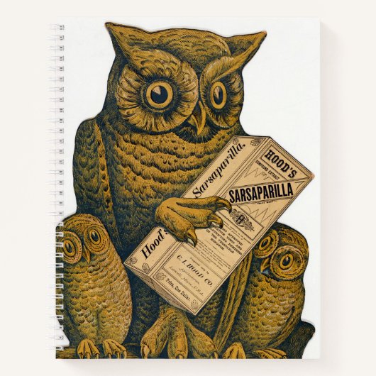 フッドのサルサパリラ回復性強壮剤。 ノートブック (正面)