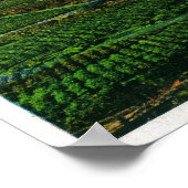 フッド川バレーフッド川のフード山 ポスター (角)