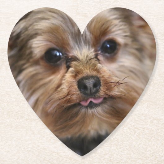 フッ！ ペーパーコースター (正面)