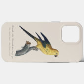 フトアゴインコ（学名：Aratinga solstitialis） Case-Mate iPhoneケース (裏面 (横))