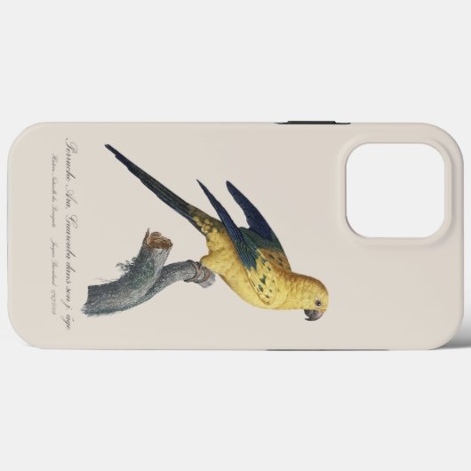フトアゴインコ（学名：Aratinga solstitialis） Case-Mate iPhoneケース (裏面 (横))
