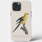 フトアゴインコ（学名：Aratinga solstitialis） Case-Mate iPhoneケース (裏面)