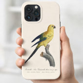 フトアゴインコ（学名：Aratinga solstitialis） Case-Mate iPhoneケース
