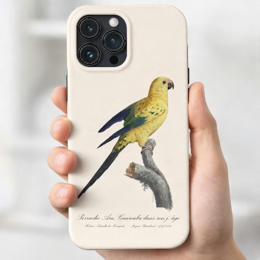 フトアゴインコ（学名：Aratinga solstitialis） Case-Mate iPhoneケース