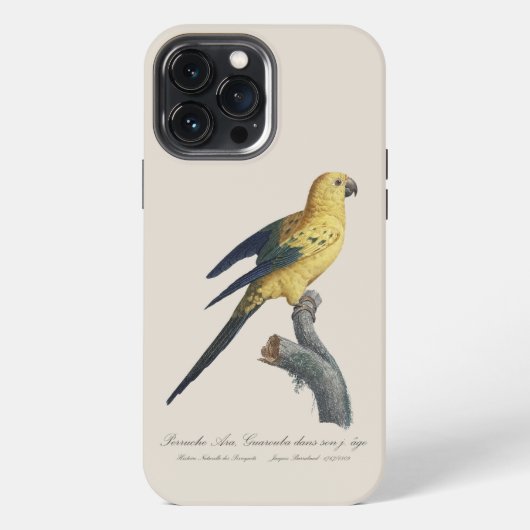 フトアゴインコ(学名:Aratinga solstitialis) iPhoneケース (裏面)