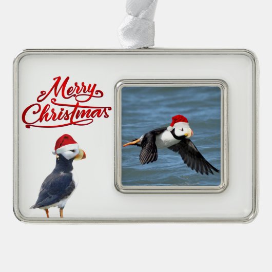 フフィンのオーナメントの枠付き シルバープレートフレームオーナメント (正面)