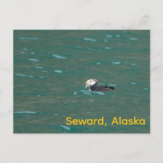 フフ食べィンの魚 シーズンポストカード (正面)