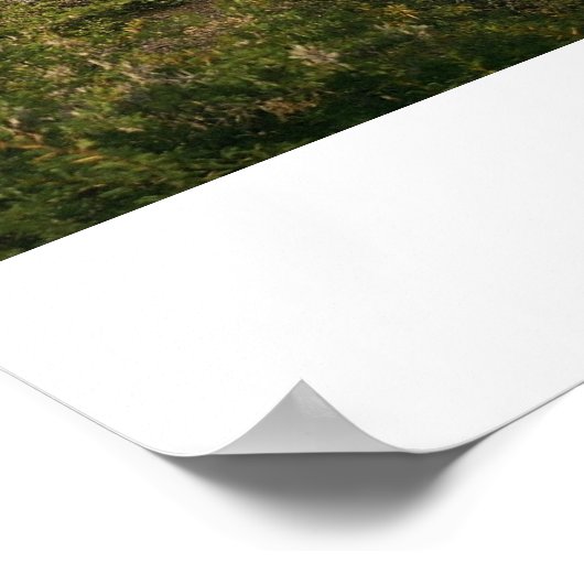 フマハカ#3 ポスター (角)