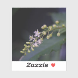 フミリス湖 シール