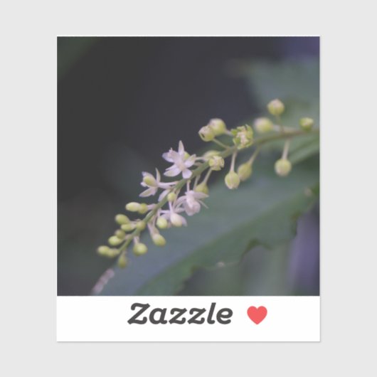 フミリス湖 シール (シート)