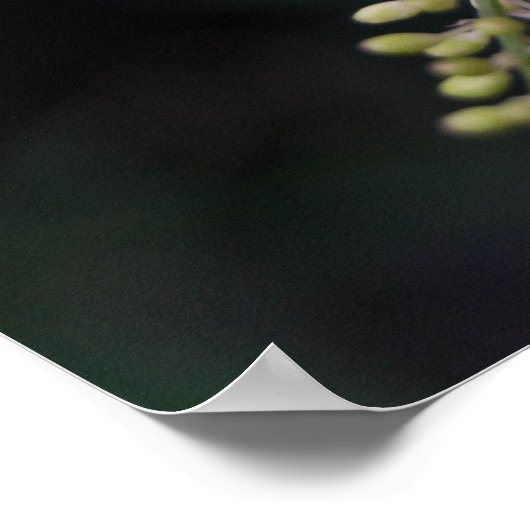 フミリス湖 ポスター (角)