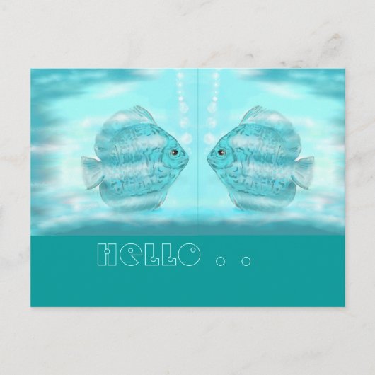 フュル・ディスカス・フロウンデ…ポストカード ポストカード (正面)