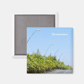 フューエルテベンチュラ磁石 マグネット (正面/裏面)