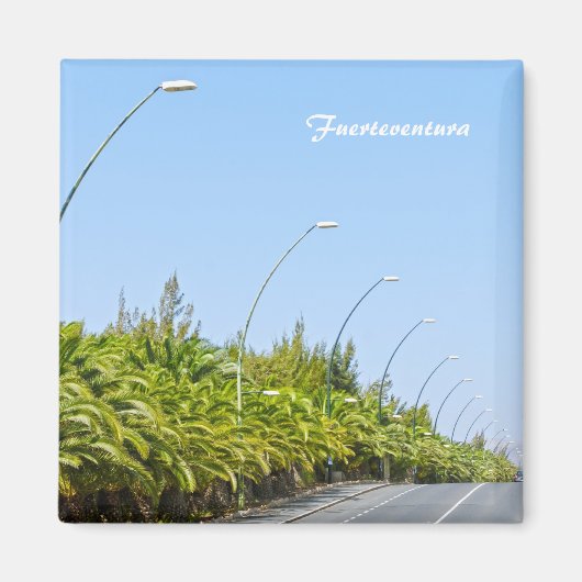 フューエルテベンチュラ磁石 マグネット (正面)