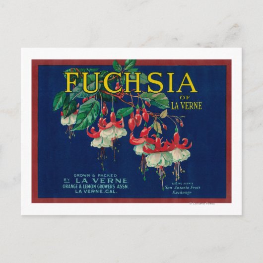 フューシャ レモン ラベルラ バーン, CA ポストカード (正面)