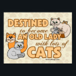 フューチャー熱狂するキャットレディおもしろいことわざデザイン ポスター<br><div class="desc">猫が多いオールドレディになる運命の人 – 猫好きとか猫好き？猫おもしろいことわざの可愛い猫ちゃん。猫の熱狂するレディと猫の飼い主ことわざ/かわいい猫の画像グラフィックデザインと引用文</div>