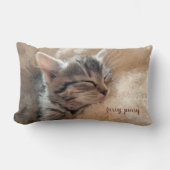 フューリーピュリー子猫ファインアート枕 ランバークッション (正面)