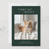 フューリー&ブライトシンプルドッグクリスマス2フォトグリーン シーズンカード (正面)