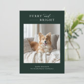 フューリー&ブライトシンプルドッグクリスマス2フォトグリーン シーズンカード (スタンド正面)