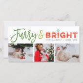 フューリー&ブライトタイポグラフィ猫好き3フォトペット シーズンカード (正面)