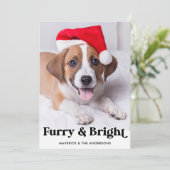 フューリー&ブライトパーソナライズされたシンプルペットドッグ写真 シーズンカード (スタンド正面)