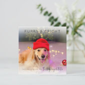 フューリー&ブライト | フォトクリスマスホリデーカード シーズンカード (スタンド正面)