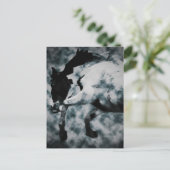 フューリー ポストカード (スタンド正面)