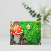 フライアンタケ ポストカード (スタンド正面)