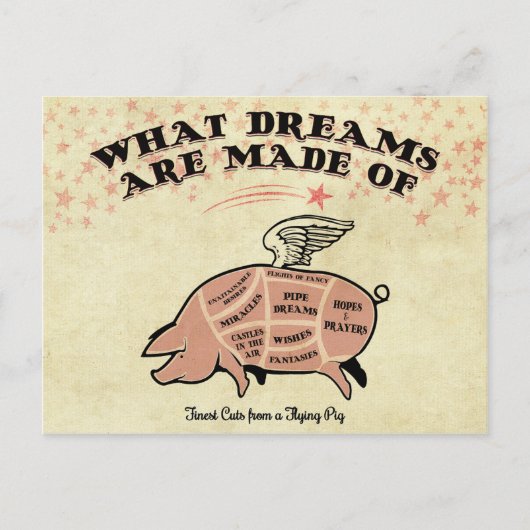 フライインピグカット ポストカード (正面)