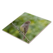 フライキャッチャー タイル (側面)