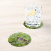 フライキャッチャー ラウンドペーパーコースター (インサイチュ)