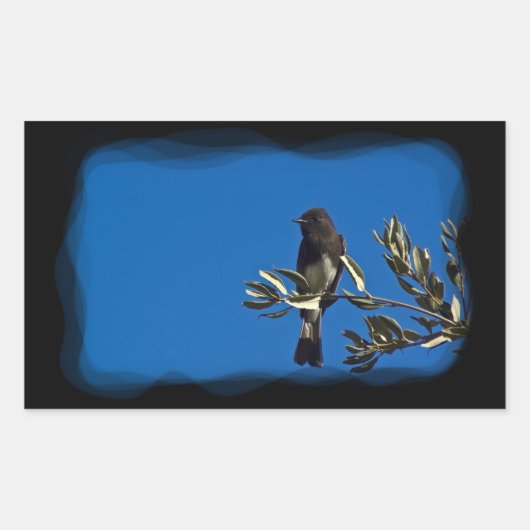 フライキャッチャー 長方形シール (正面)