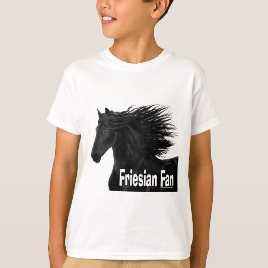 フライシアンファン Tシャツ (正面)