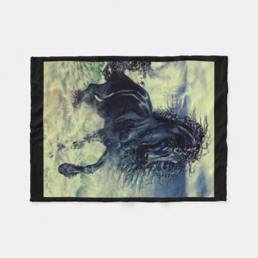 フライシア語、黒い美しいスタリオン、嵐の海 フリースブランケット (正面(横))