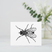 フライスケッチ – 昆虫、害虫、ハエ ポストカード (スタンド正面)