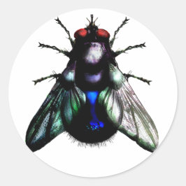 フライステッカー ラウンドシール