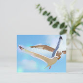 フライトはがき内のカモメ ポストカード (スタンド正面)