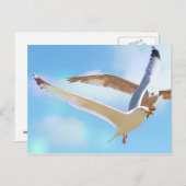 フライトはがき内のカモメ ポストカード (正面/裏面)