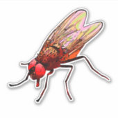 フライトイレシール浴室装置のための魚介類 シール (正面)