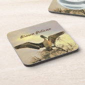 フライトコースターのフロリダブラウンペリカン コースター (左側)