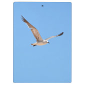フライトスカイブルー沿岸のフリースピリットのカモメ クリップボード (裏面)