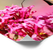 フライトハガキのハチドリ ポスター (角)